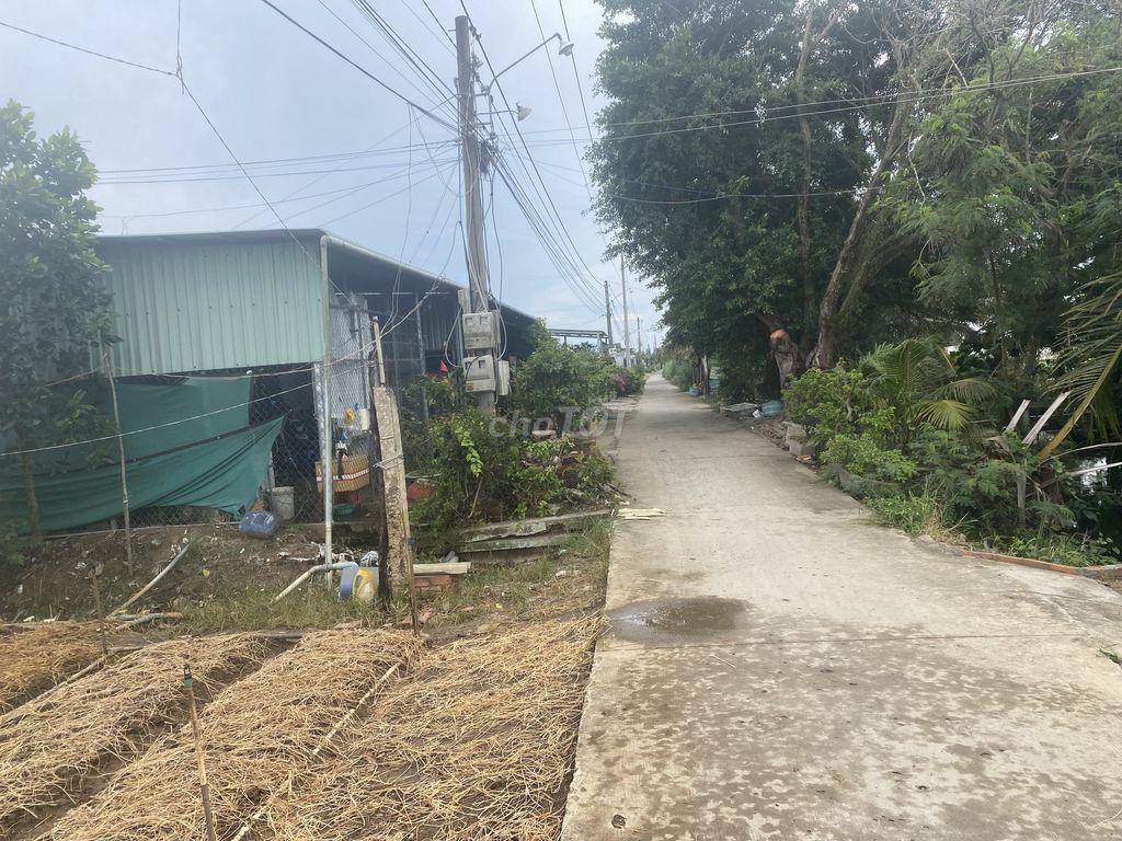 bán đất mặt tiền đường xe hơi xã bình nghị gò công đông