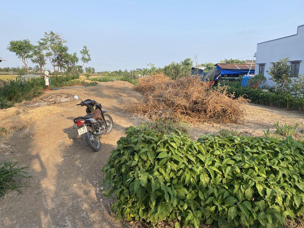 bán đất nền gò công đông 350m