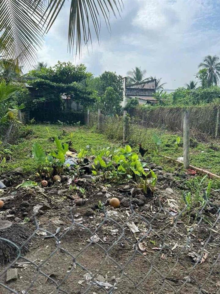 Cần bán thửa đất diện tích 100m2 (5 x 20), thổ cư 70m2 phường Mỹ Phong
