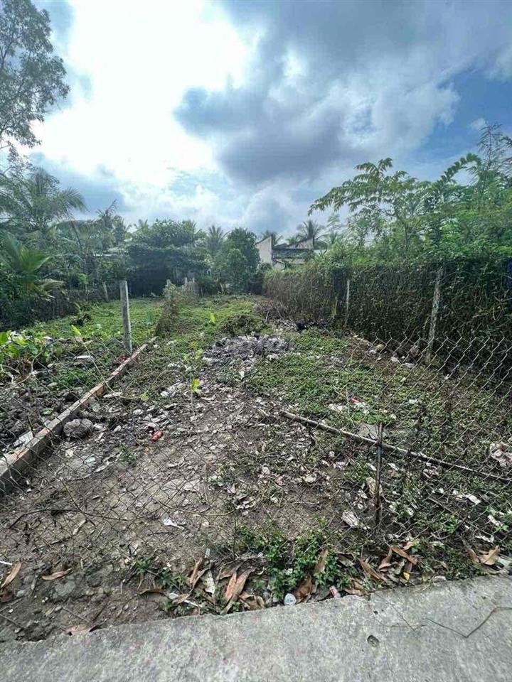 Cần bán thửa đất diện tích 100m2 (5 x 20), thổ cư 70m2 phường Mỹ Phong