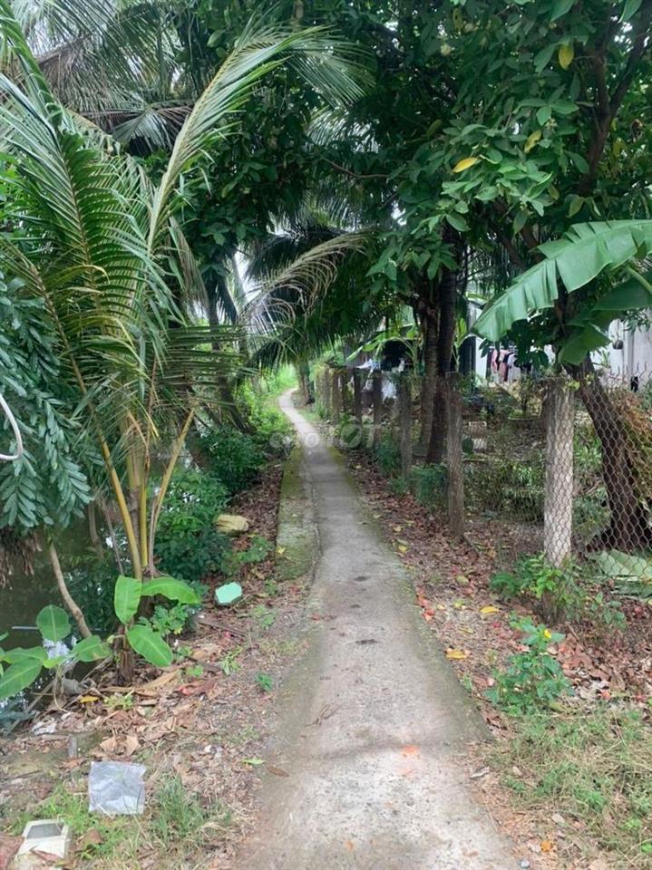 Đất trung tâm giá rẻ