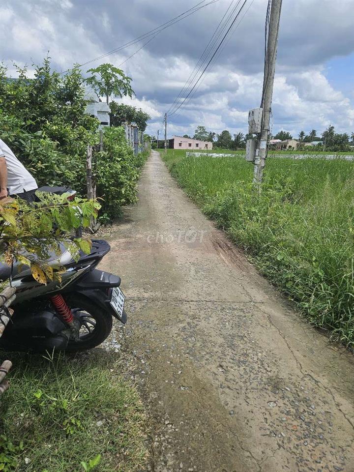 cắt bán trả nợ gấp,đất Tiền Giang,SHR,HXH