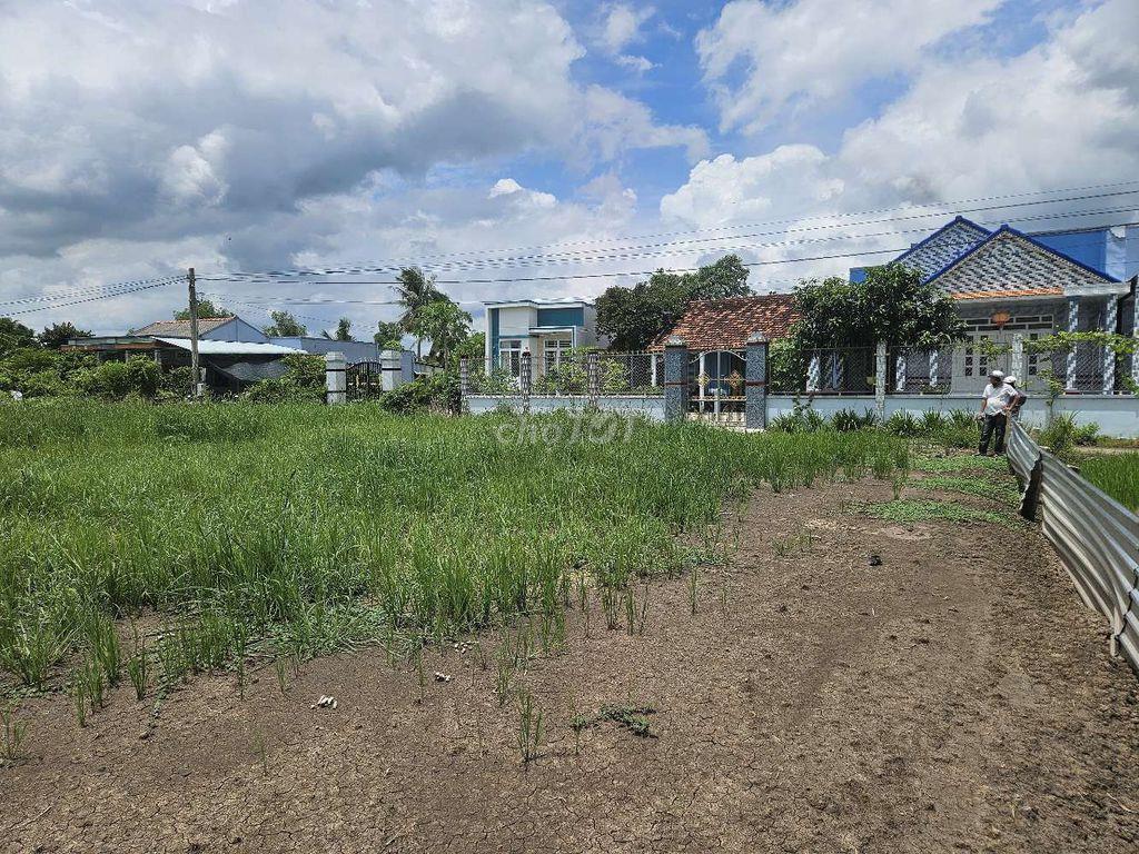 cắt bán trả nợ gấp,đất Tiền Giang,SHR,HXH