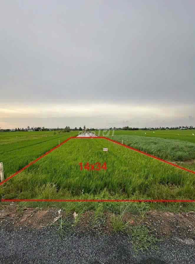 Cần bán đất tỉnh lộ 864