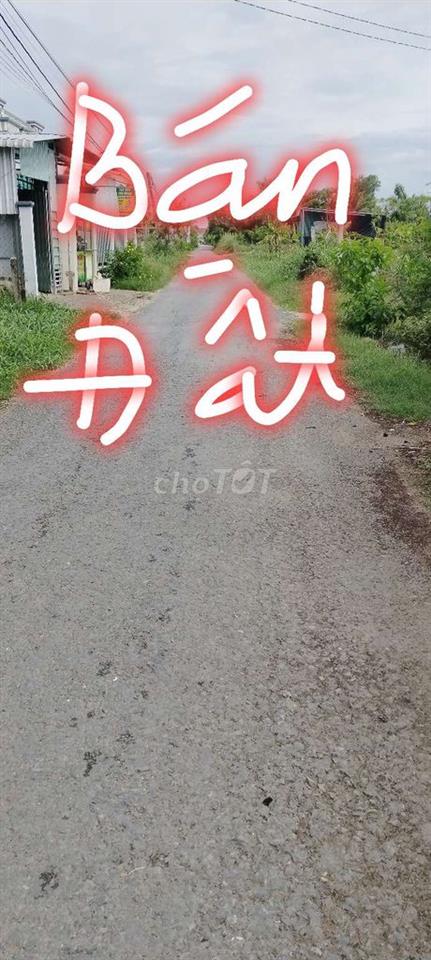 Cần bán đất 