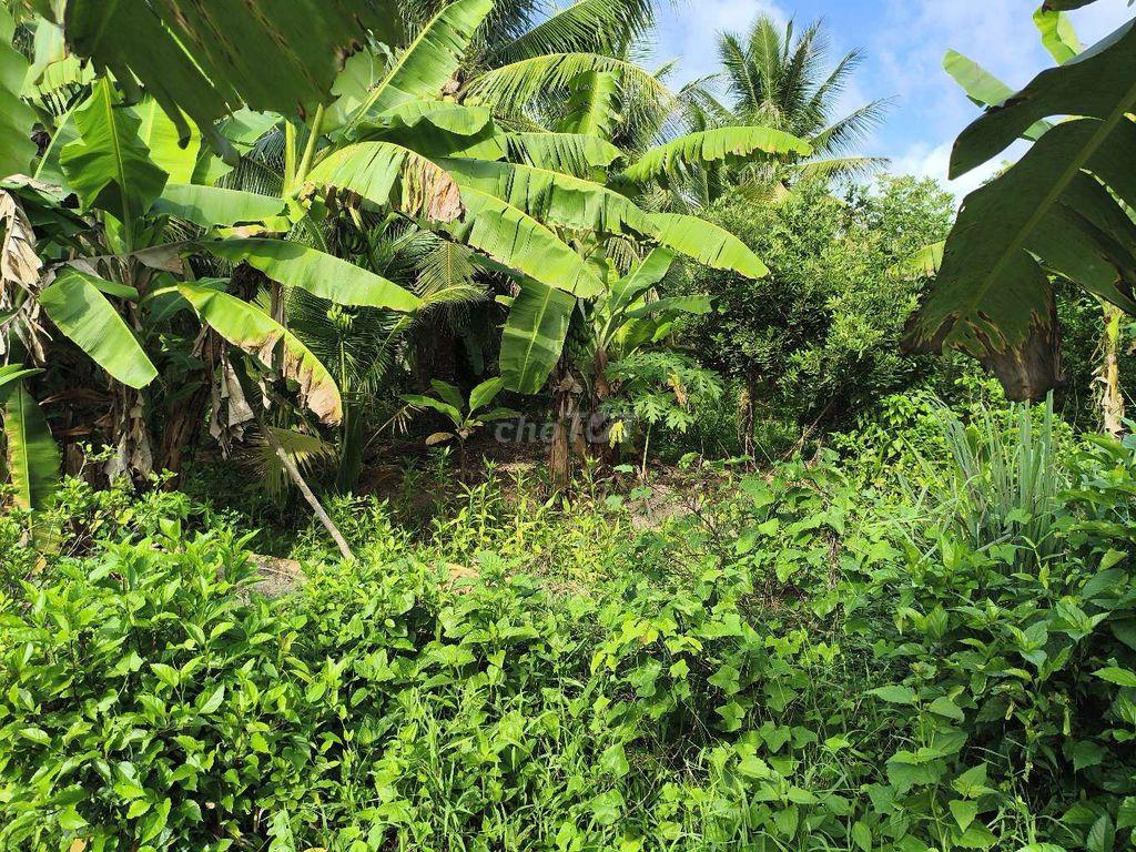 đất trồng trọt