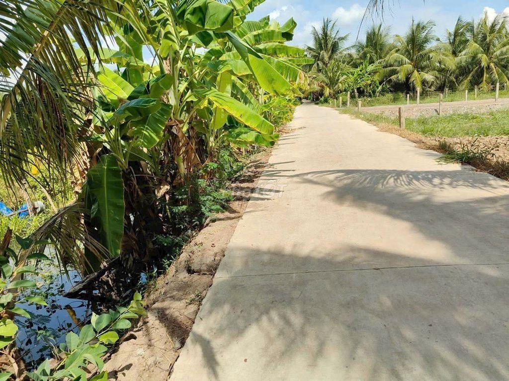 CẦN RA ĐẤT TRONG TUẦN NÀY, GIẢM GIÁ SÂU, CHỢ GẠO, TIỀN GIANG
