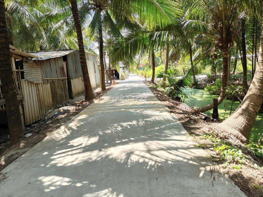 CẦN RA ĐẤT TRONG TUẦN NÀY, GIẢM GIÁ SÂU, CHỢ GẠO, TIỀN GIANG