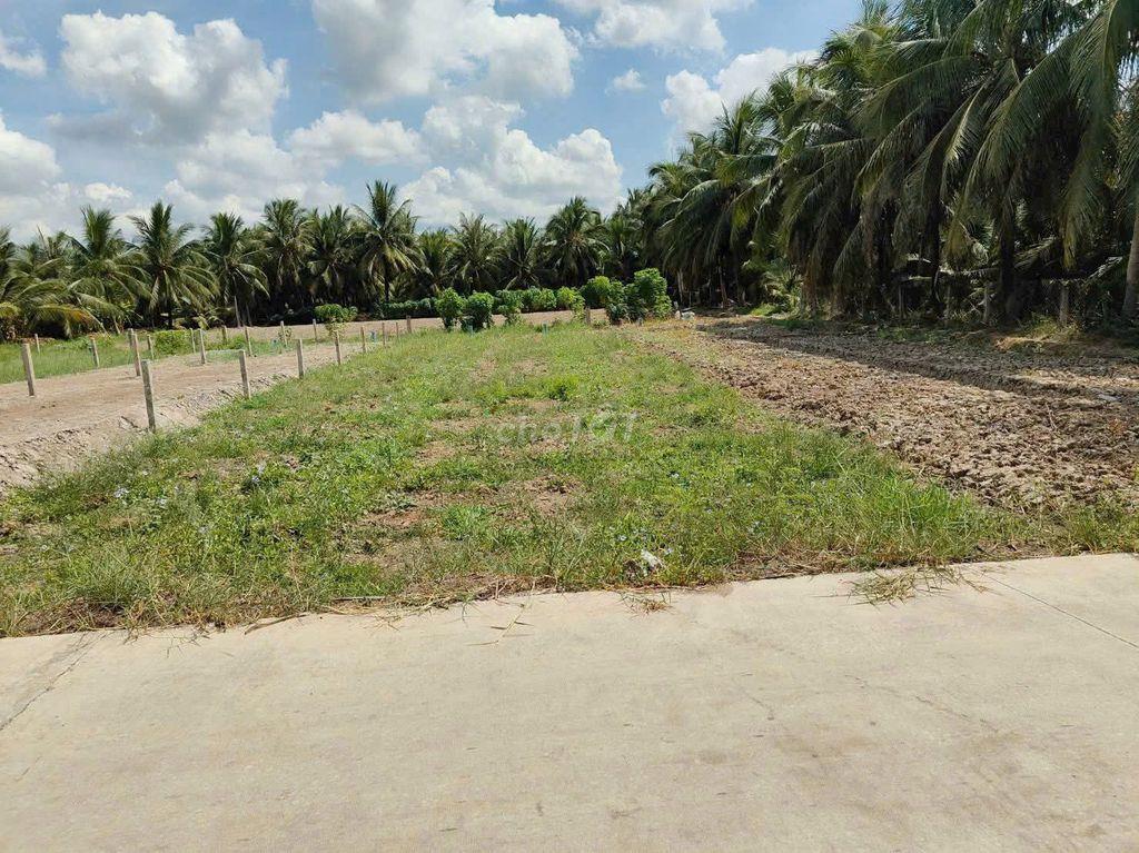 CẦN RA ĐẤT TRONG TUẦN NÀY, GIẢM GIÁ SÂU, CHỢ GẠO, TIỀN GIANG