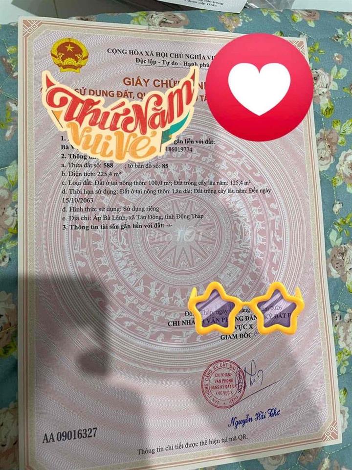 bán Đất Tân Đông.