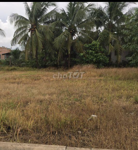 Bán đất khu dân cư châu thành, tiền giang