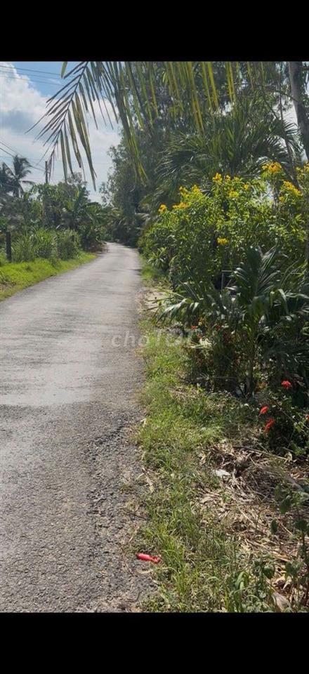 mặt tiền nhựa xã Thanh Bình gần chợ