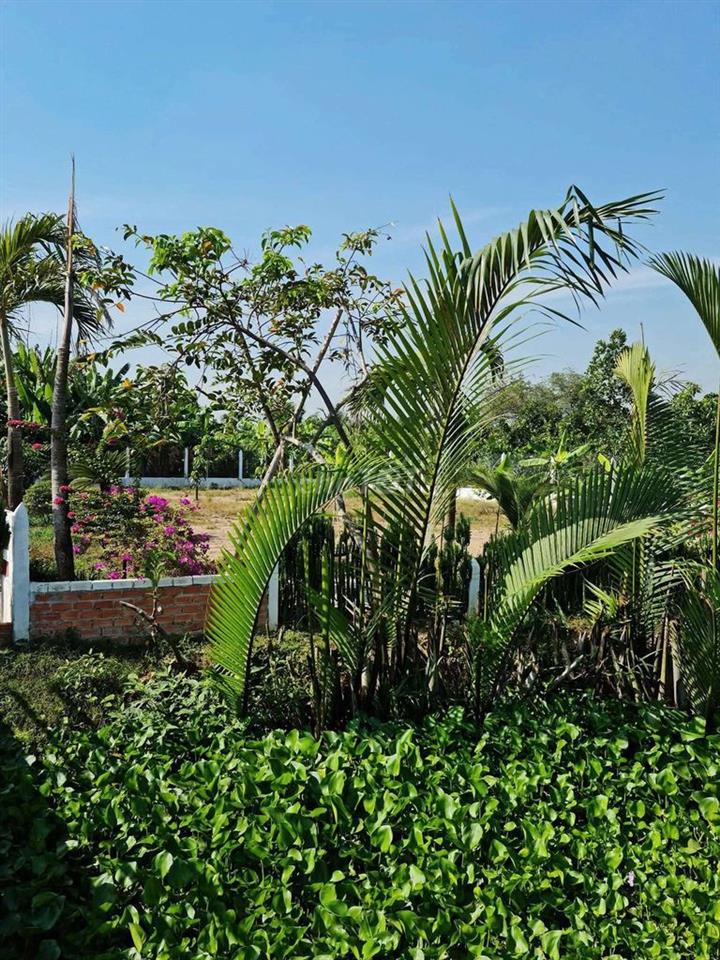 ĐẤT THỔ CƯ ĐƯỜNG OTO VIEW SÔNG