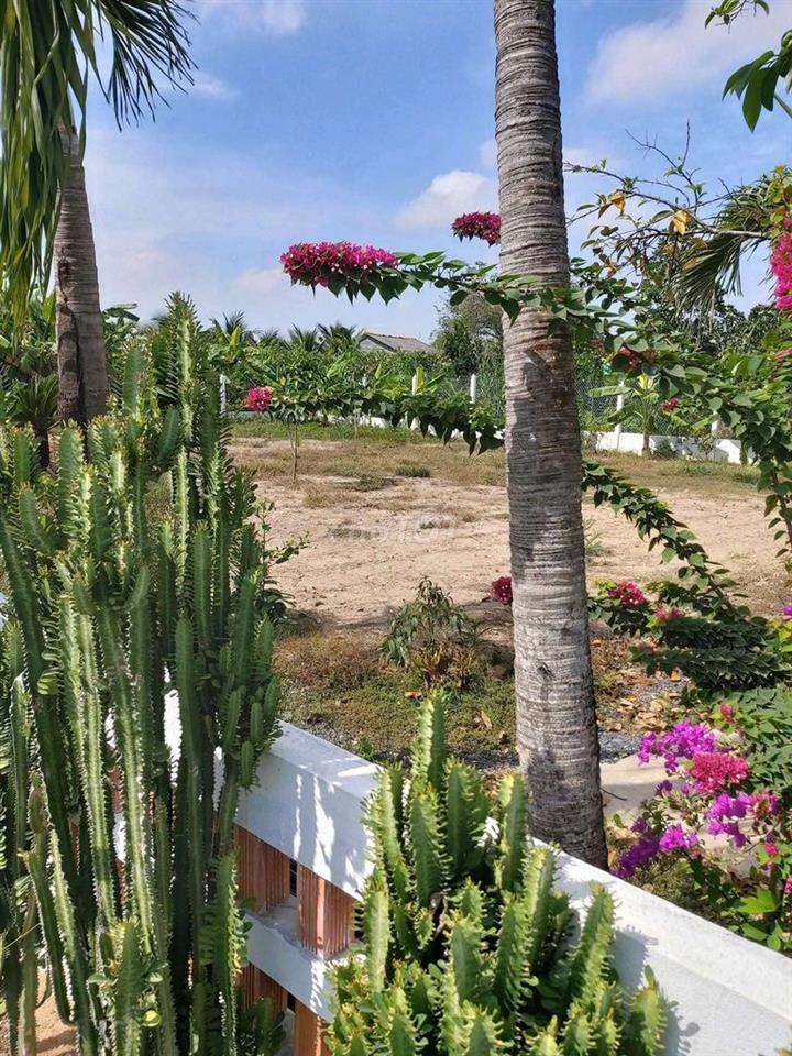ĐẤT THỔ CƯ ĐƯỜNG OTO VIEW SÔNG