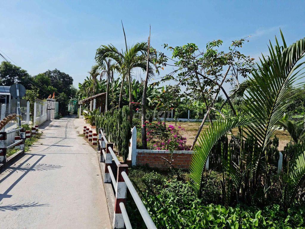 ĐẤT THỔ CƯ ĐƯỜNG OTO VIEW SÔNG