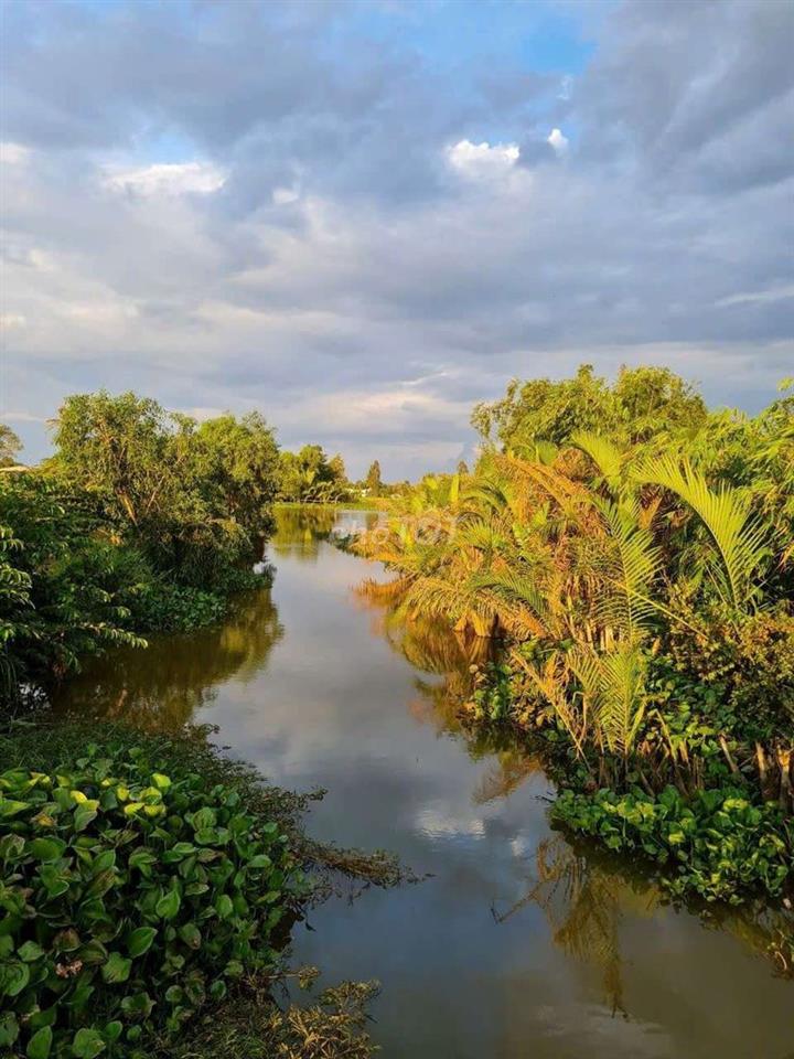 ĐẤT THỔ CƯ ĐƯỜNG OTO VIEW SÔNG