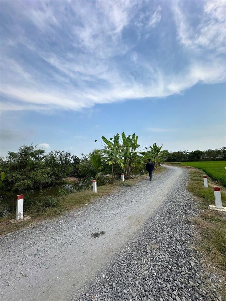 Đất Gò Công Tây siêu phẩm cực rẻ