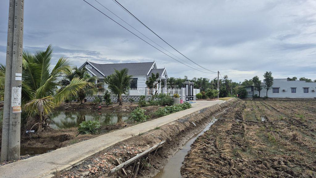Bán đất nông nghiệp tại phường Sơn Qui, TP Gò Công (Đồng Tháp mới)