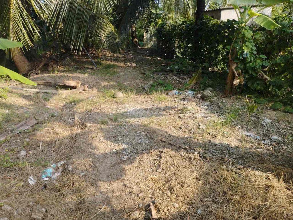 Đất vườn tại thanh bình