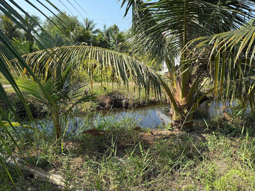 ĐẤT CẦN BÁN GẤP