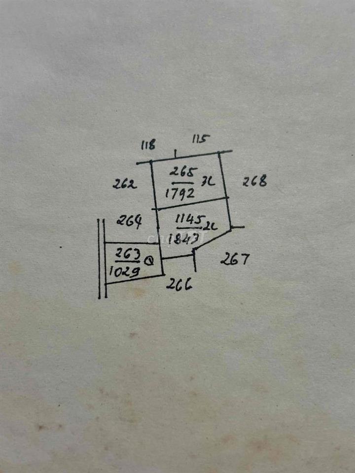 BÁN ĐẤT VƯỜN LONG ĐỊNH-TIỀN GIANG