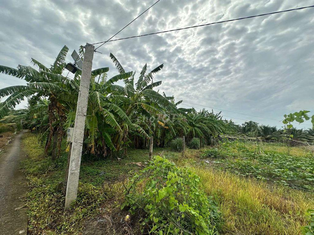 Đất Tân Phước Tiền Giang 869m2