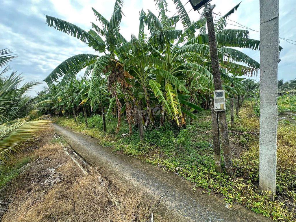 Đất Tân Phước Tiền Giang 869m2