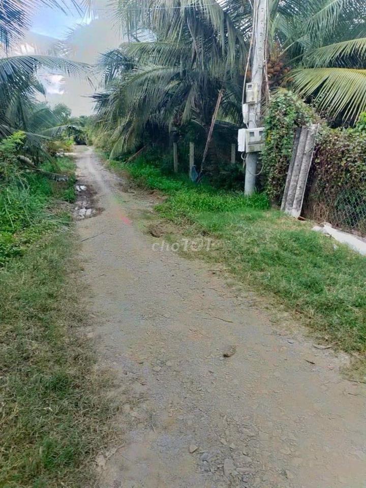 🏡 BÁN ĐẤT THỔ CƯ CHÍNH CHỦ CÓ THỂ XÂY NHÀ NGAY – CHỢ GẠO, TIỀN GIANG