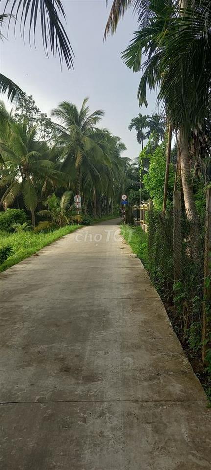 Cơ hội sở hữu quỹ đất lớn tại vị trí "vàng" của Xã Vĩnh Kim