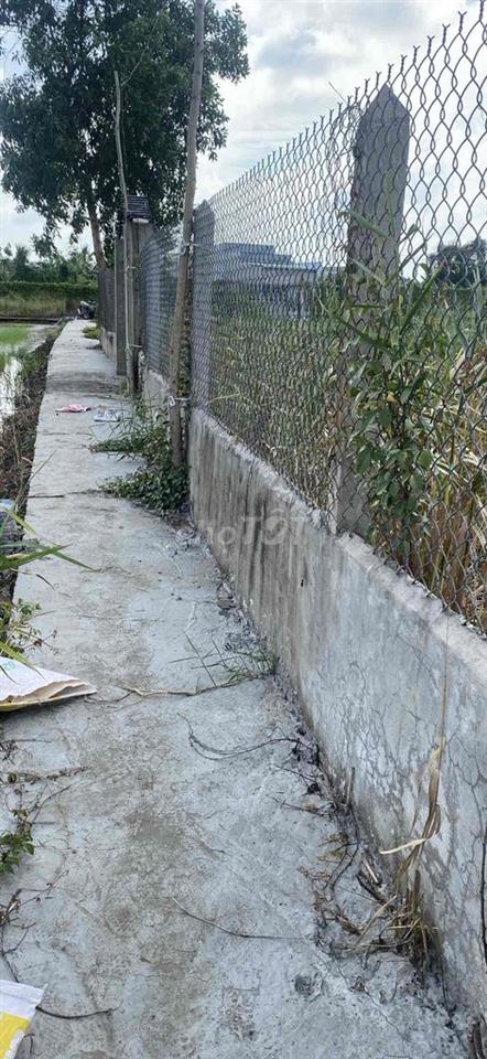 cần tiền bán gấp đất giá rẻ
