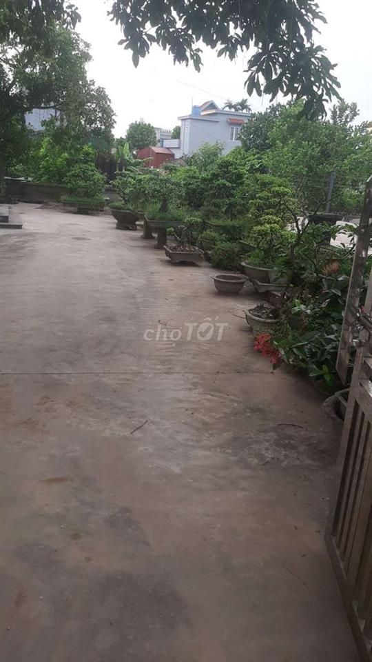 bán đất 