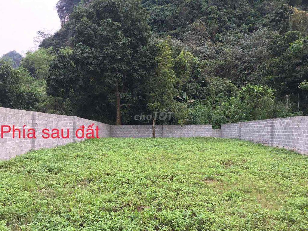 ĐẤT HOÀ BÌNH - ĐƯỜNG LONG TÂN CHÂU - PHÚ THỌ MỚI
