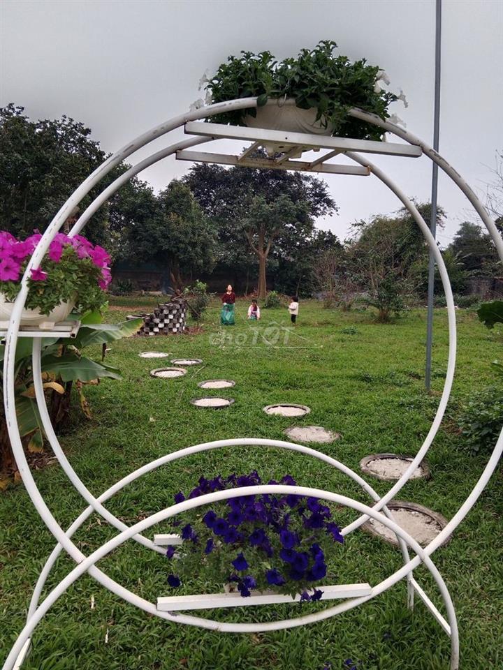 Cho thuê nhà xưởng, kho bãi, khu du lịch 
