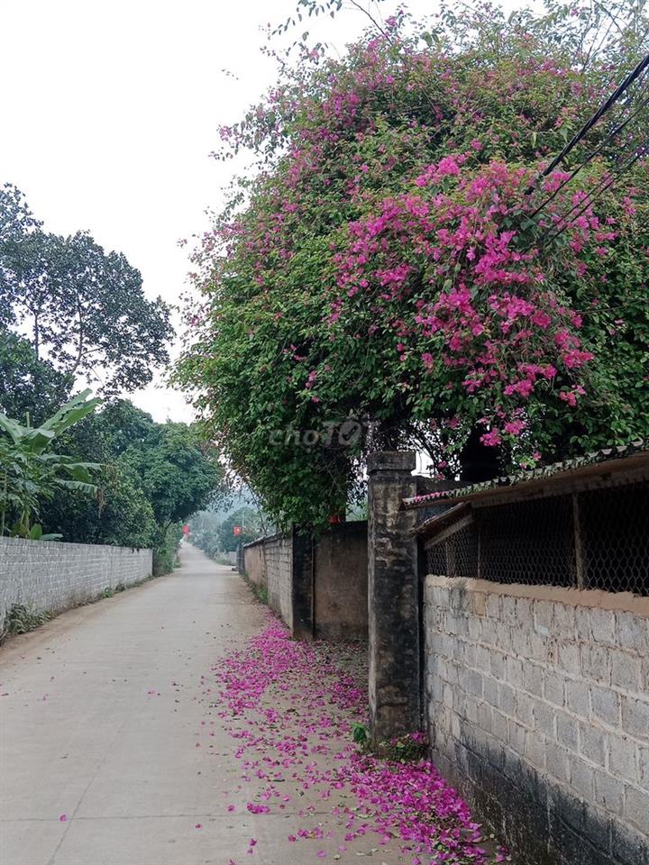 Cho thuê nhà xưởng, kho bãi, khu du lịch 