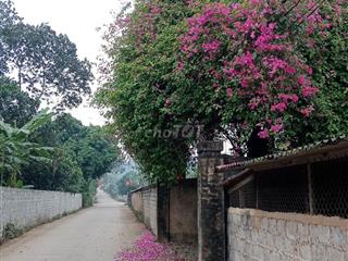 Cho thuê nhà xưởng, kho bãi, khu du lịch 