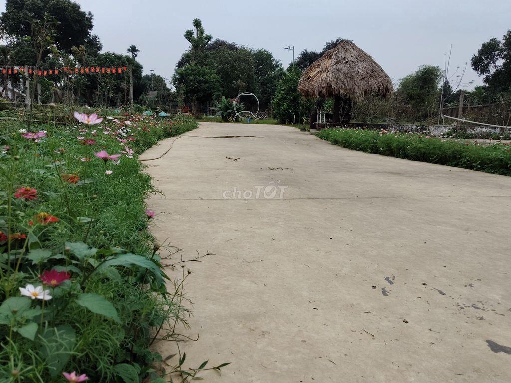 Cho thuê nhà xưởng, kho bãi, khu du lịch 