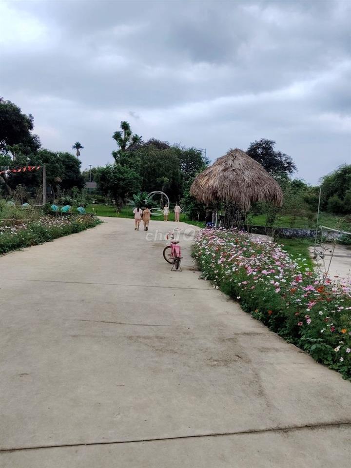 Cho thuê nhà xưởng, kho bãi, khu du lịch 