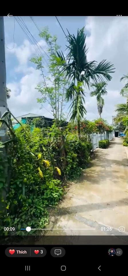 chỉ 1 tỷ 600  tới 303m2