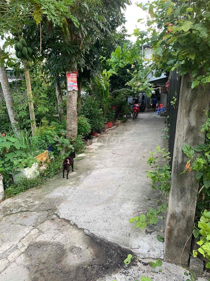 Cần bán nhà