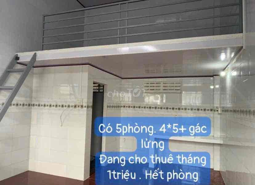 Bán nhà cấp 4 sân vườn- 5 phòng trọ tháng sạch đẹp