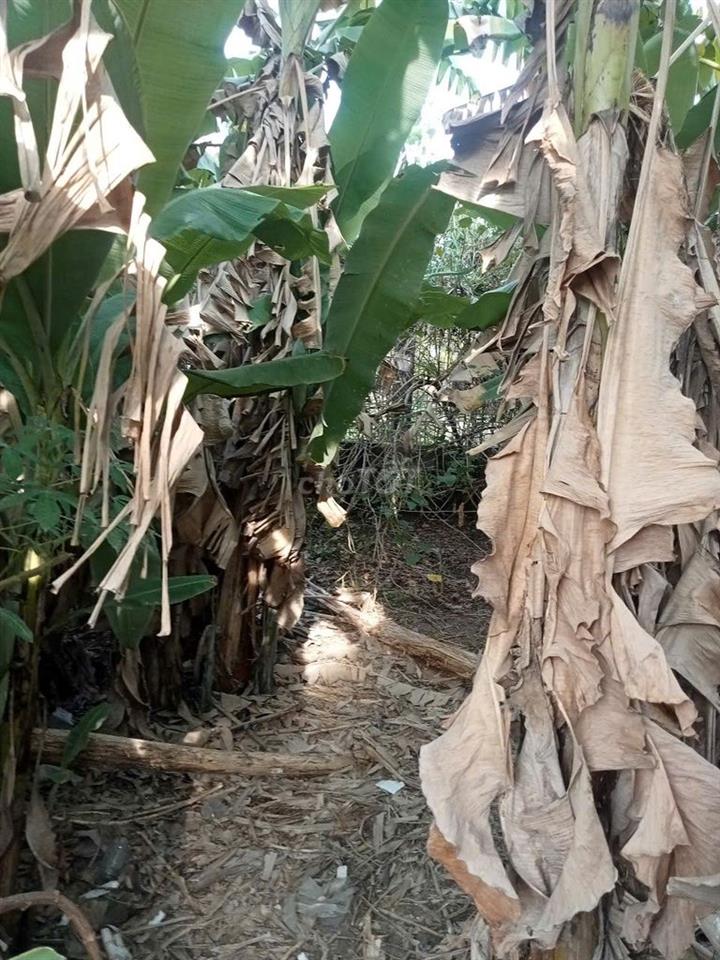 Trung tâm thương mai Vịnh Tre
