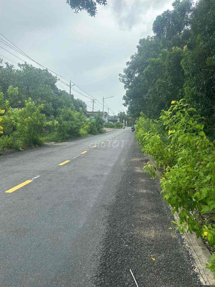 CẦN BÁN ĐẤT MẶT TIỀN ĐƯỜNG  XÃ NÚI CẤM– TỊNH BIÊN – AN GIANG