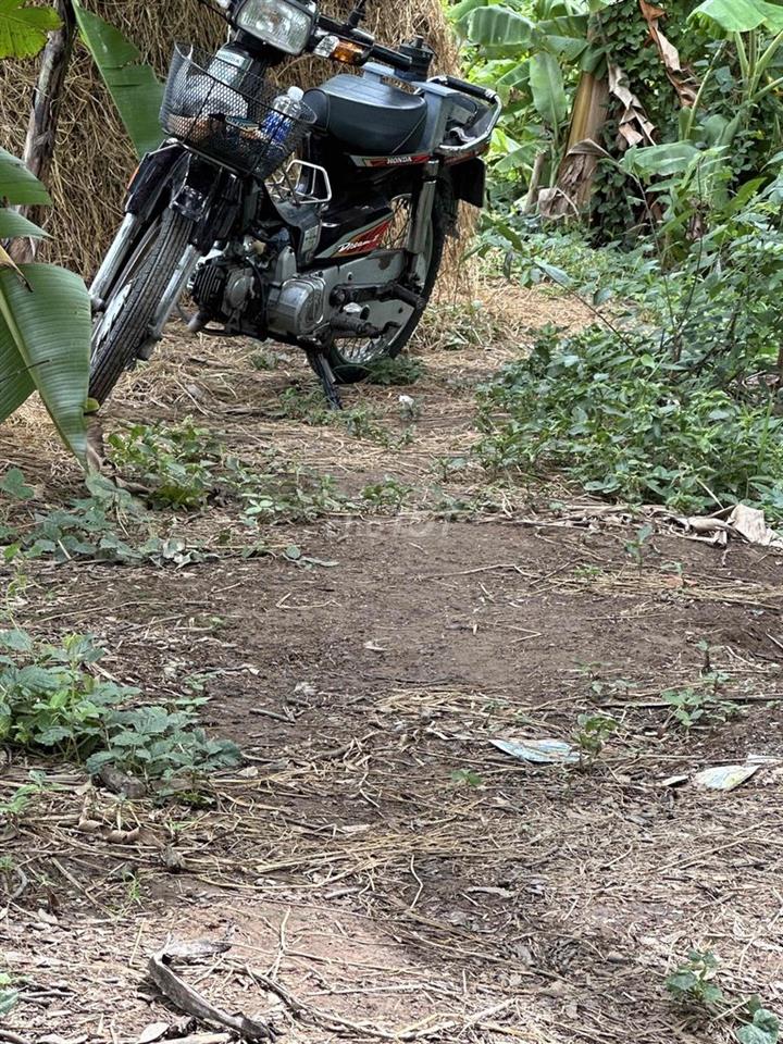 Đất ruộng