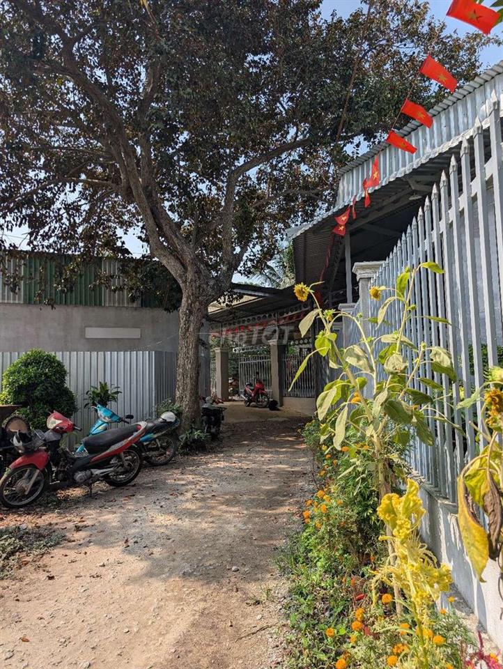 đất Gần Chợ Tầm Pha