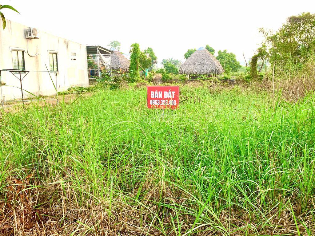 BÁN ĐẤT THỔ CƯ ĐÔ THỊ