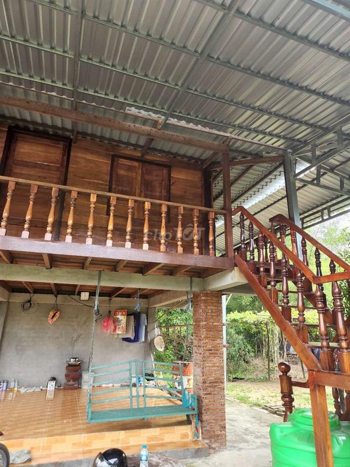 Đất cây lâu năm