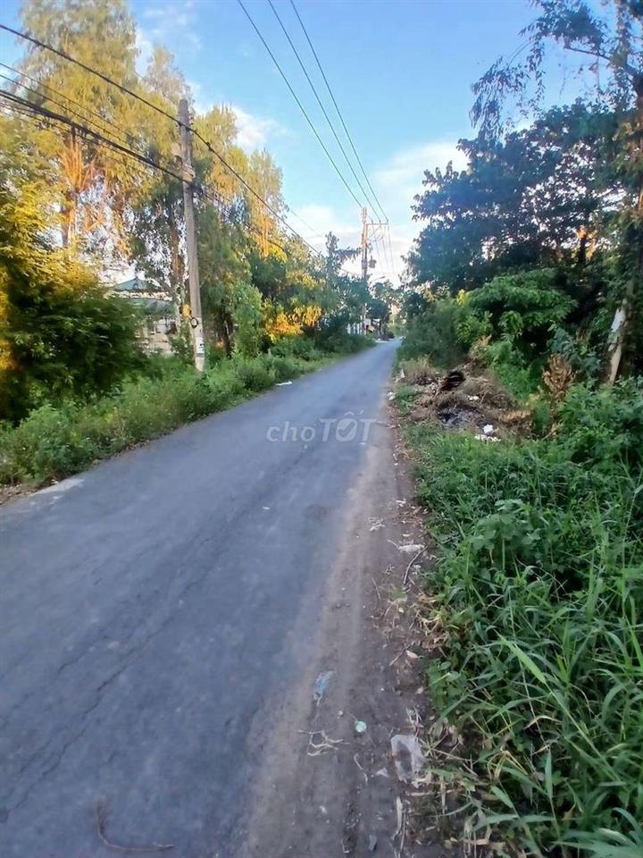 Bán nền Vĩnh Mỹ