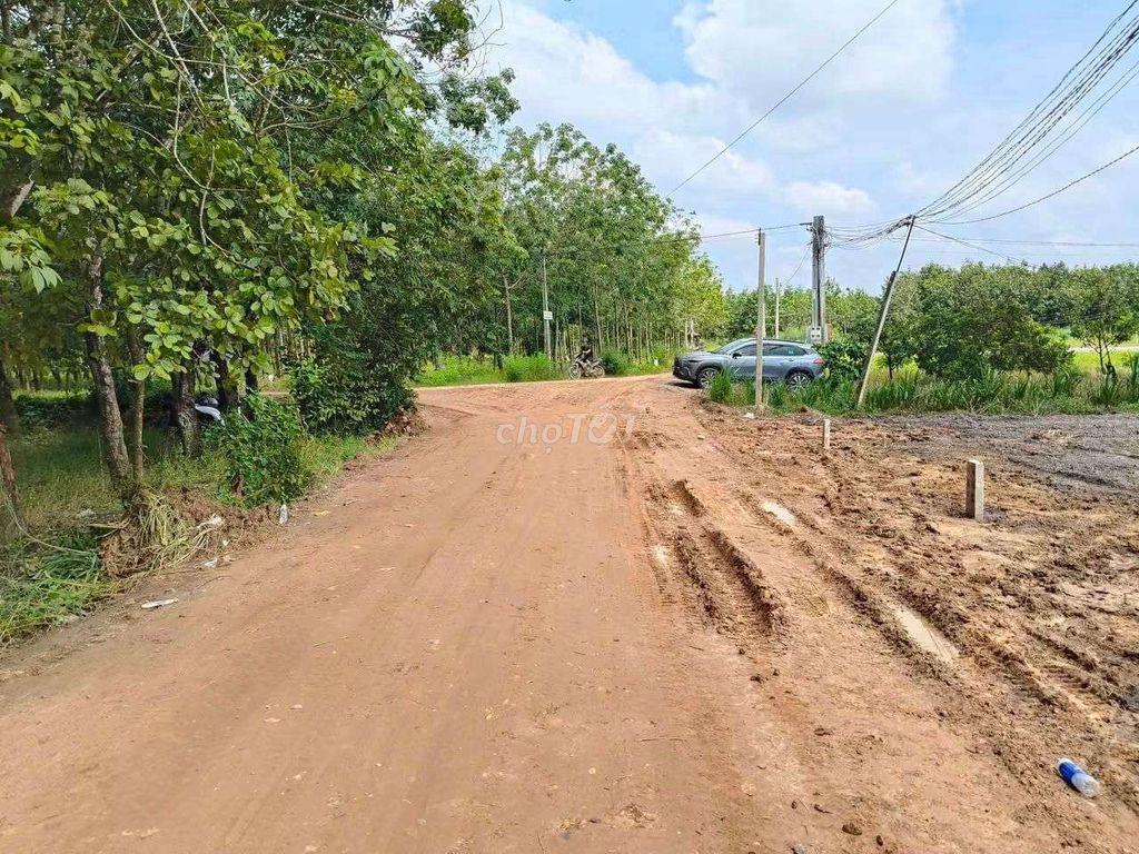 đất 129tr dt 5x40m thổ cư 60m2 ấp đồng dài xã Thạnh Bình,  Tây Ninh