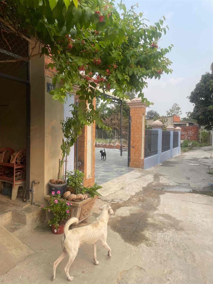cần bán gấp nhà chính chủ