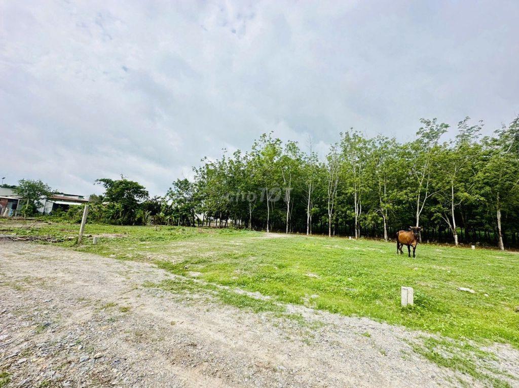 110m2 thổ cư ngay gần cổng KCN Phước Đông 3200ha. 5xx tr